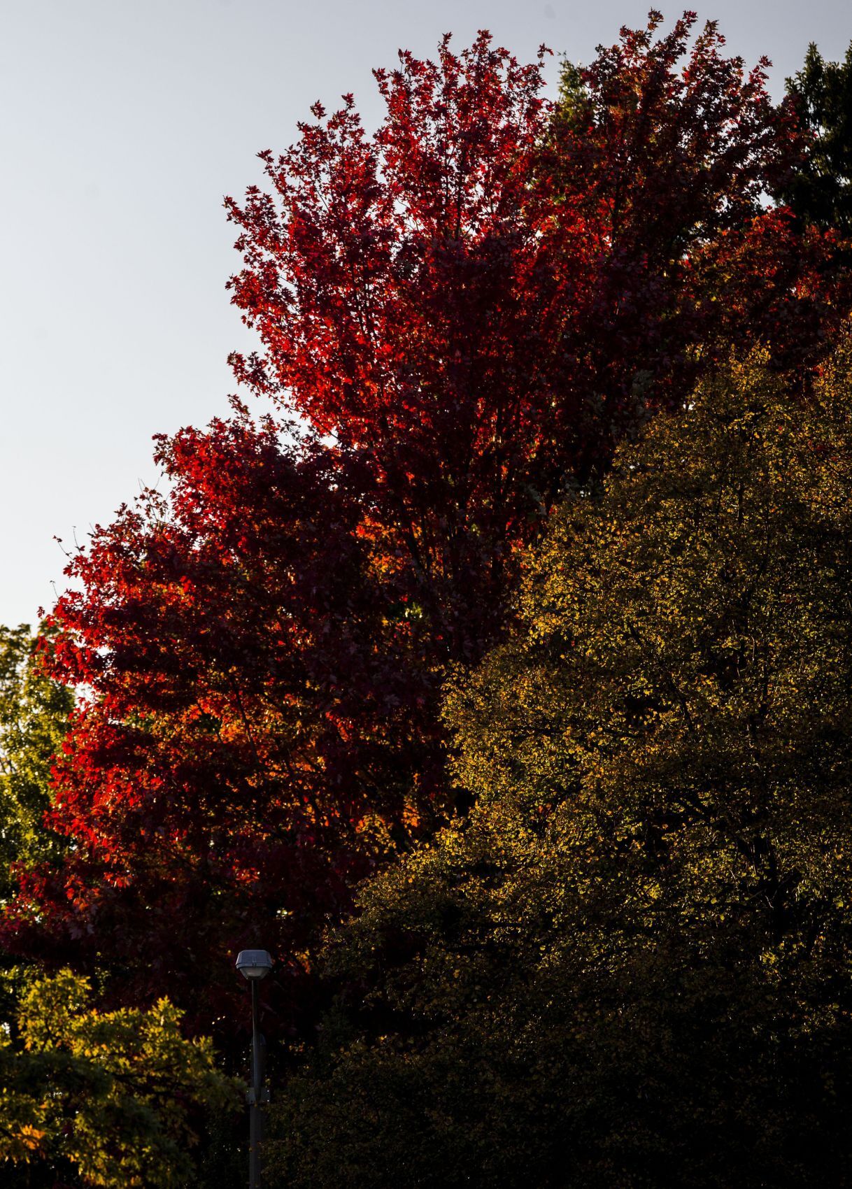 Fall colors start to pop
